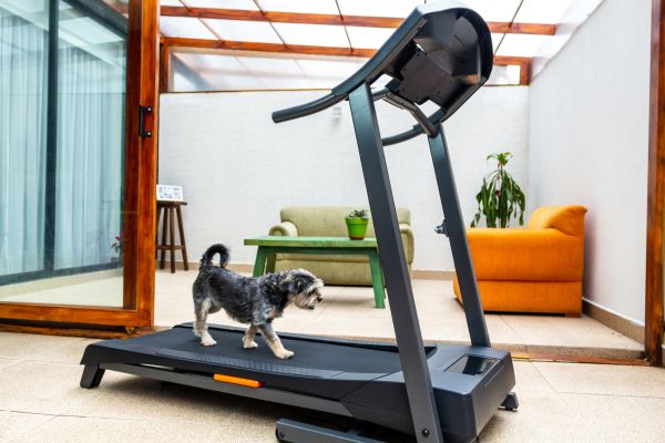 Treadmill Installation in Hilliard