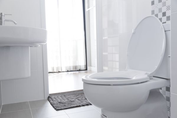Toilet Seat Installation in Hilliard