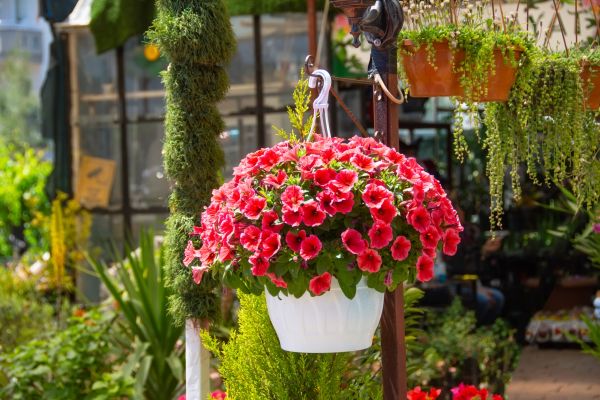 Hanging Planter Installation in Hilliard