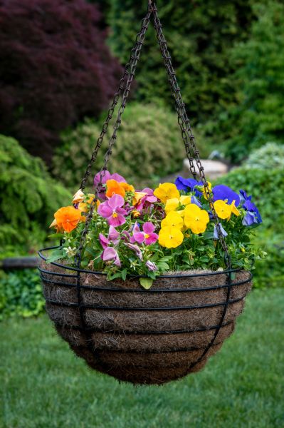 Hanging Basket Installation in Hilliard