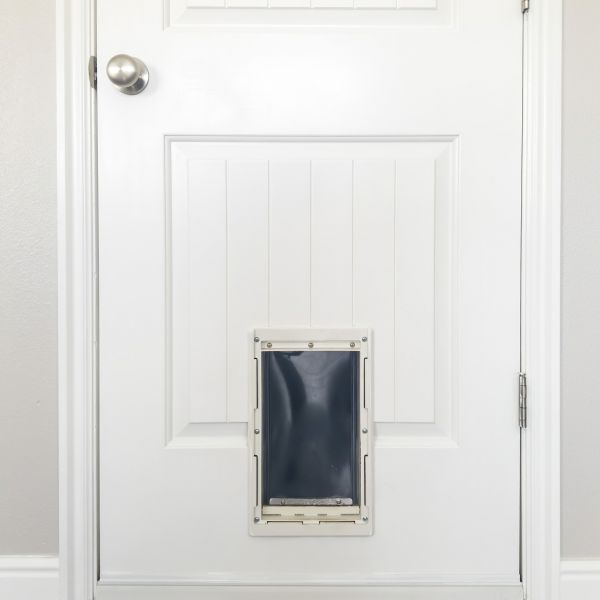 Pet Door Repair in Hilliard