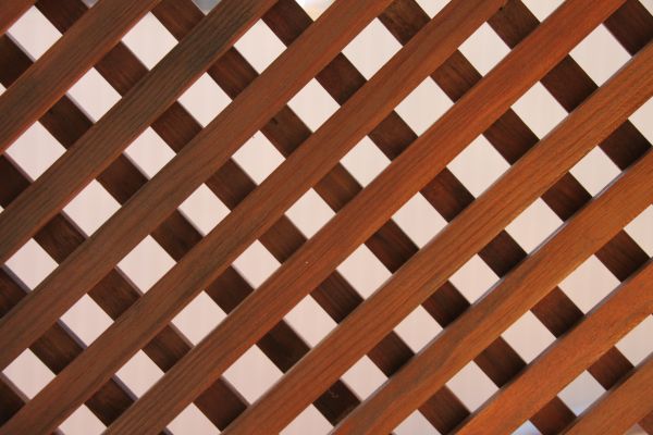 Wood Lattice Repair in Hilliard