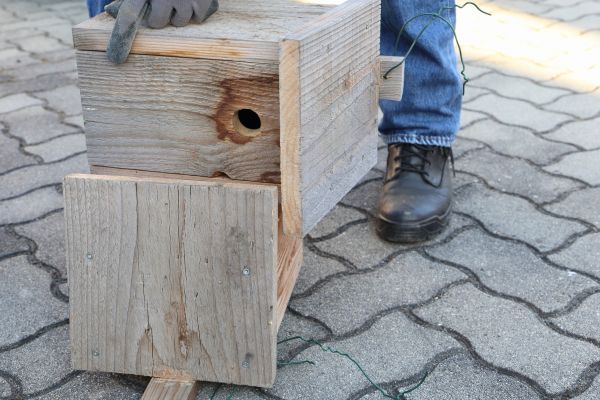 Birdhouse Mounting in Hilliard