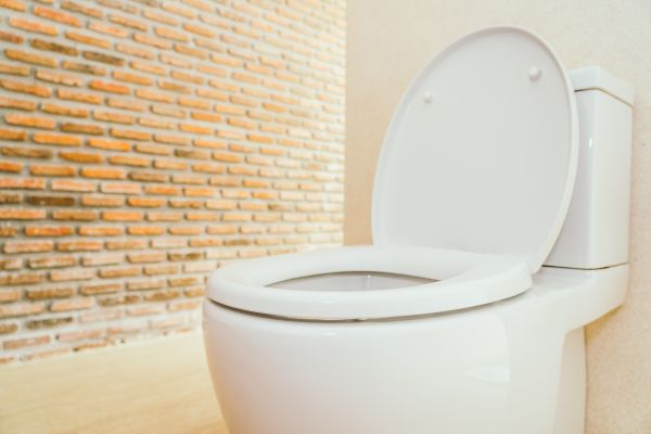 Toilet Seat Repair in Hilliard